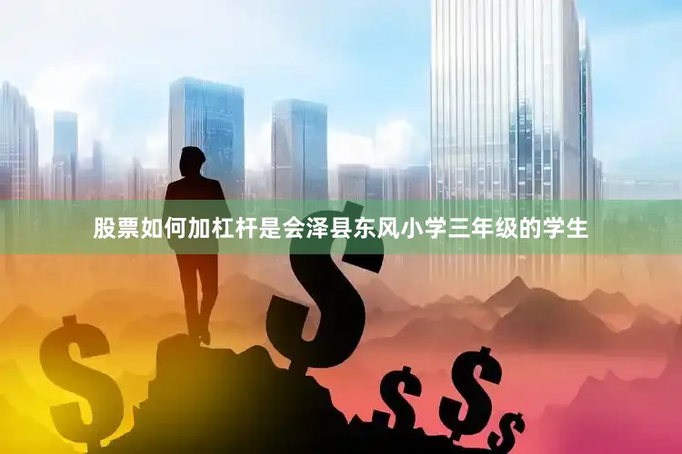 股票如何加杠杆是会泽县东风小学三年级的学生