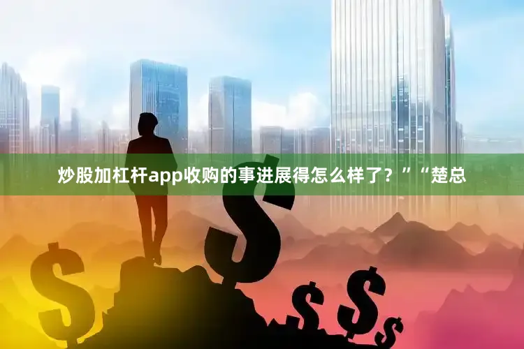 炒股加杠杆app收购的事进展得怎么样了？”“楚总