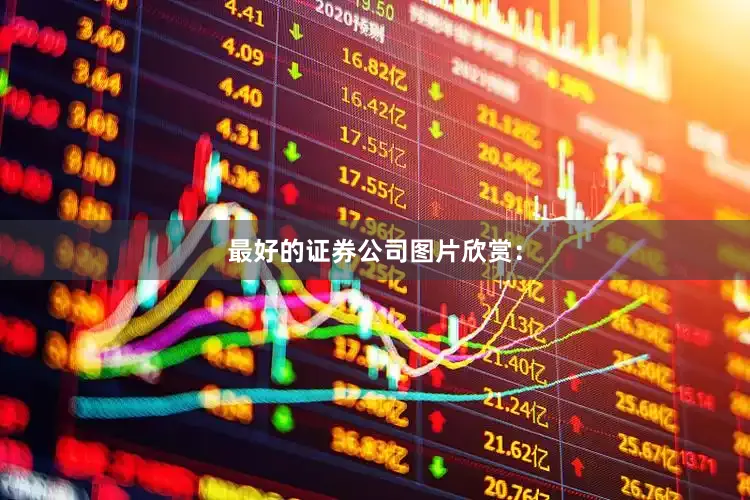 最好的证券公司图片欣赏：